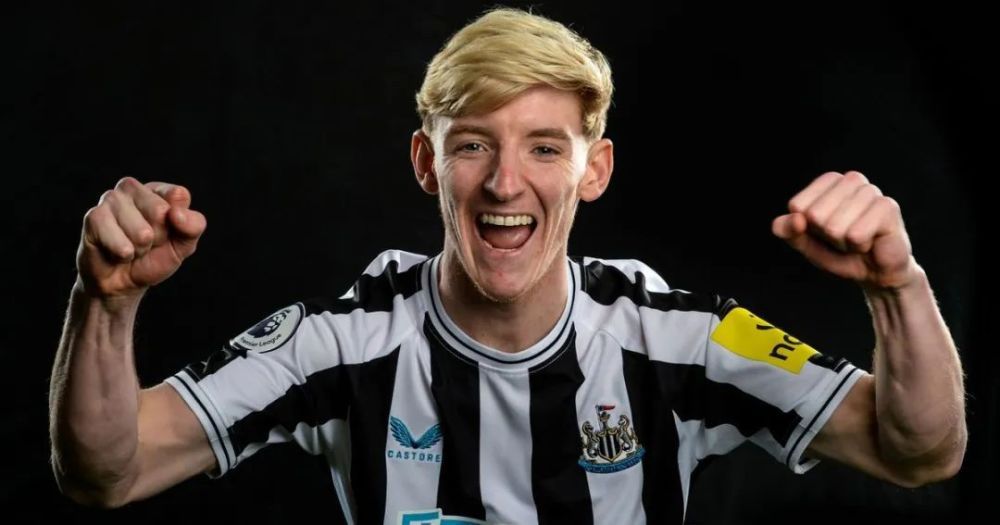 美丽的少妇2