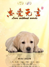 午夜黄视频